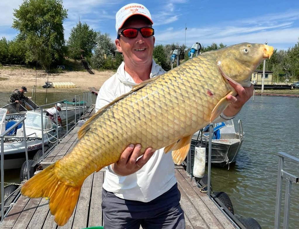 Новости Альпийской деревни 1 - 15 июля