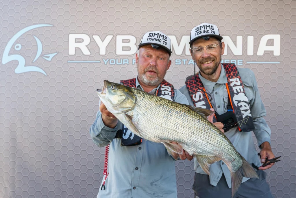 Яндекс Маркет PAL Open - III тур